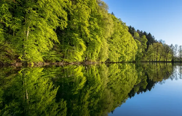 Вода, деревья, пейзаж, природа, отражение, зелено