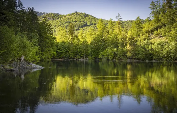 Зелень, пейзаж, горы, природа, озеро, река, красота, круги на воде