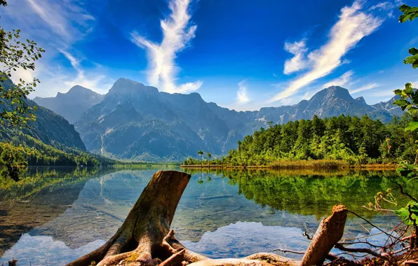 Картинка лес, горы, озеро, отражение, Австрия, Альпы, Austria, Alps