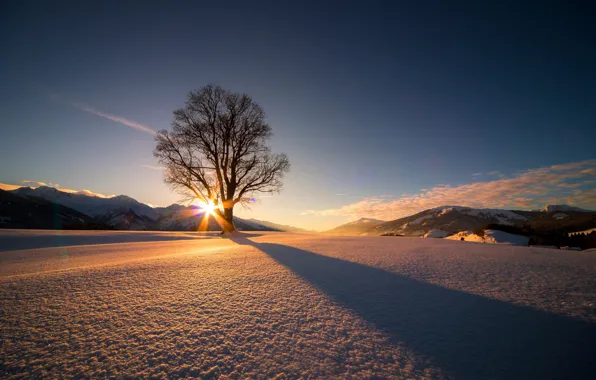 Картинка зима, солнце, снег, дерево, Австрия