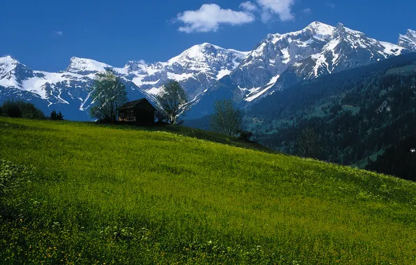 Картинка небо, горы, Австрия, луг, домик