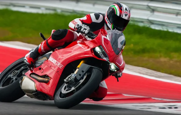 Картинка Ducati, 2013, 1199, panigale r