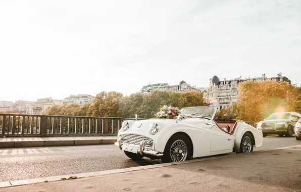 Ретро, 1954, jaguar, retro, jaguar xk140, xk140