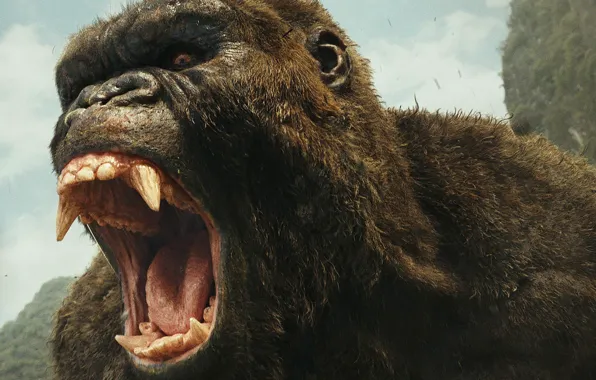 Картинка cinema, movie, gorilla, film, strong, Kong: Skull Island, Skull Island, King Kong: