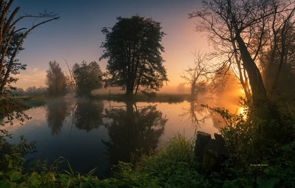 Пейзаж, природа, река, рассвет, утро, Польша