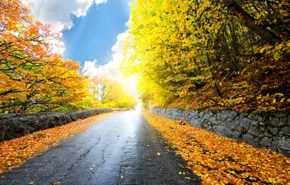 Картинка дорога, осень, лес, небо, листья, облака, деревья, пейзаж