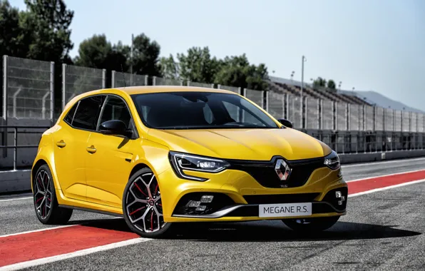 Renault, хэтчбек, 2018, Trophy, Megane RS