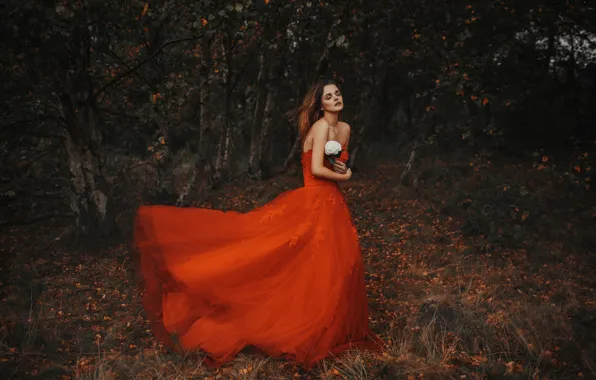 Картинка осень, лес, цветок, девушка, настроение, красное платье, белая роза, Jodi Lakin