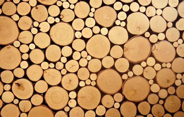 Картинка wood, circles, cut logs