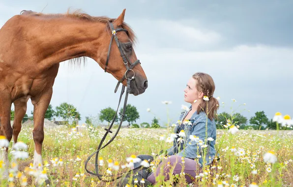 Картинка девушка, конь, ромашки