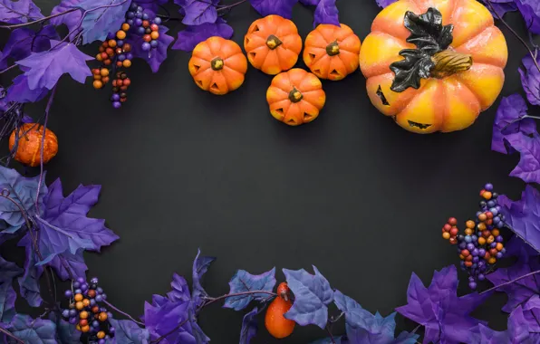 Фиолетовый, Halloween, тыква, хэллоуин, berries, pumpkin
