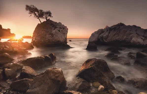 Картинка море, солнце, лучи, свет, деревья, закат, камни, скалы