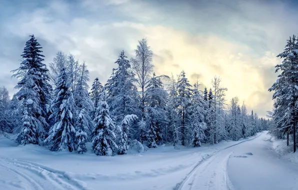 Картинка зима, снег, пейзаж