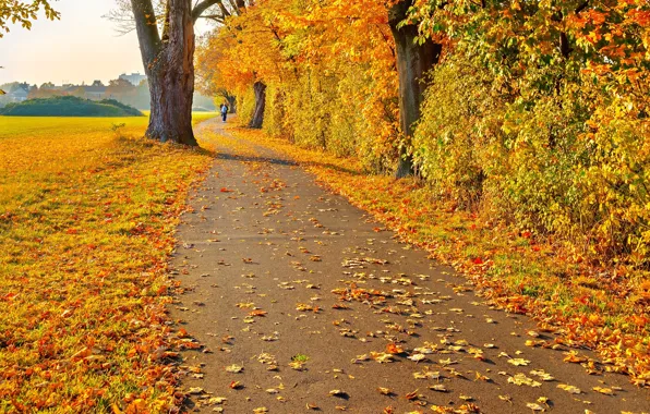 Картинка дорога, осень, листья, деревья, пейзаж, человек, желтые