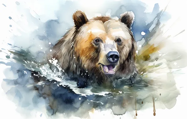 Взгляд, морда, вода, брызги, медведь, купание, пасть, акварель