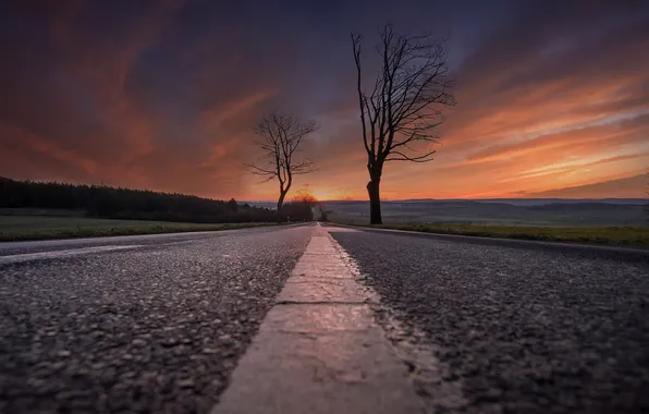 Дорога, деревья, закат