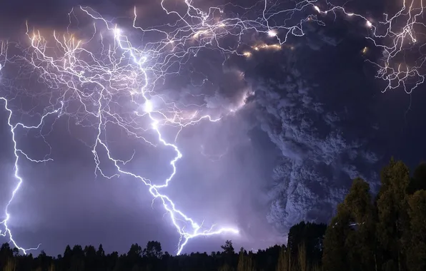 Картинка trees, thunder, cloudy