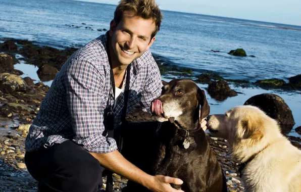 Картинка собаки, улыбка, берег, актер, мужчина, Брэдли Купер, Bradley Cooper