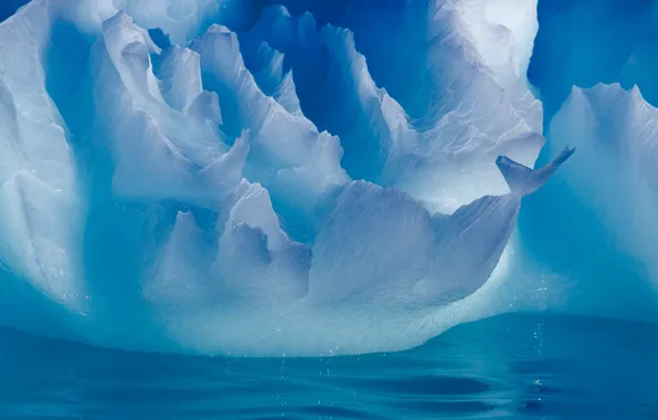 Зима, вода, свет, природа, лёд, айсберг, Антарктика