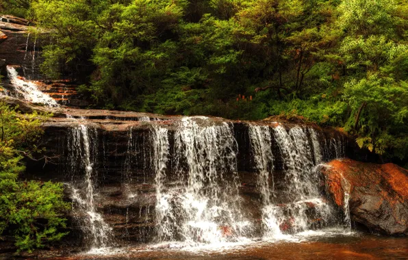 Картинка ручей, камни, водопад, Австралия, каскад, кусты, Wentworth Falls
