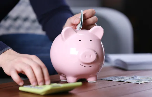 Economy, piggy, saving