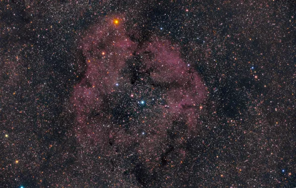 Картинка космос, звёзды, Туманность, Nebula, Elephant's Trunk