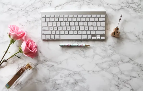 Картинка розы, ручка, pink, flowers, roses, keyboard, marble