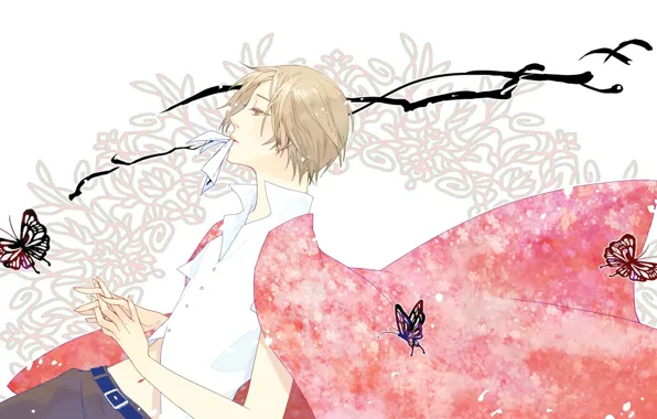 Арт, парень, Natsume Yuujinchou, Нацуме