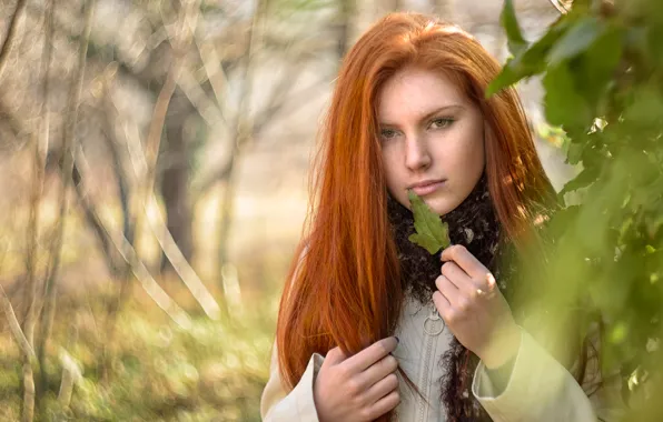 Зелень, взгляд, листья, девушка, свет, ветки, природа, листок