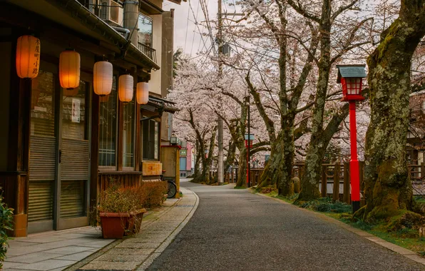 Картинка деревья, улица, дома, фонари, Japan, тротуар, Marcel Bisig, Kinosaki Onsen