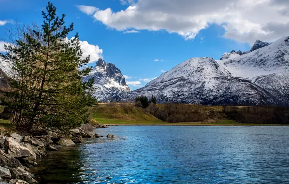 Картинка небо, облака, деревья, горы, озеро, камни, Норвегия, Andalsnes