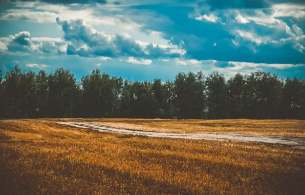 Поле, осень, небо nature