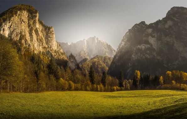 Картинка поле, осень, лес, трава, свет, горы, скалы, поляна