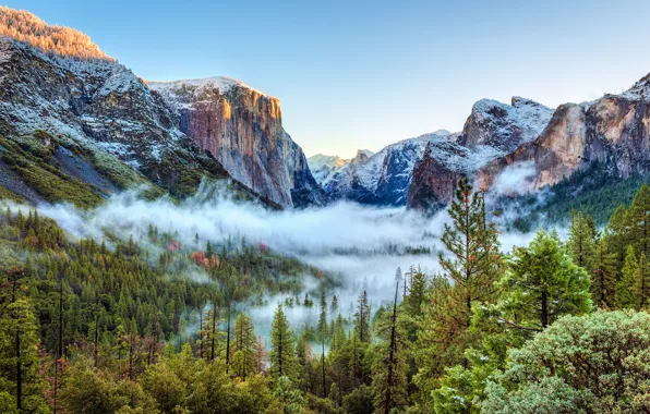 Картинка лес, снег, деревья, горы, туман, скалы, красота, Калифорния