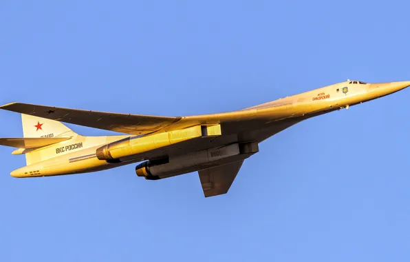 Ту-160, Blackjack, стратегический бомбардировщик-ракетоносец, сверхзвуковой, с крылом изменяемой стреловидности, ОКБ Туполева, ВКС России