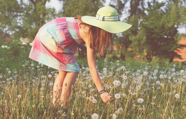 Картинка девушка, деревья, цветы, волосы, поля, шляпа, солнечный, короткое платье
