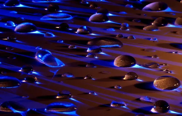 Картинка вода, прозрачность, капли, поверхность, свет, блики, после дождя, macro
