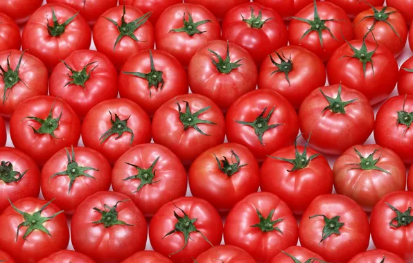 Картинка фон, текстура, овощи, помидоры, томаты, красные плоды