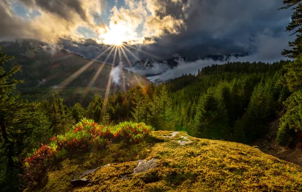 Картинка лес, солнце, лучи, горы, Каскадные горы, Washington State, Cascade Range, Штат Вашингтон
