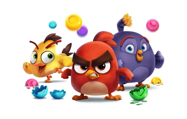 Птицы, фон, обои, игра, белый фон, wallpaper, картинка, angry birds