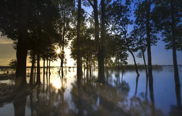 Картинка солнце, деревья, закат, озеро, отражение