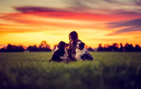 Girl, love, grass, twilight, field, sunset, dog, sundown