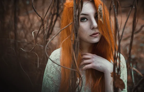 Картинка девушка, портрет, Ronnaey