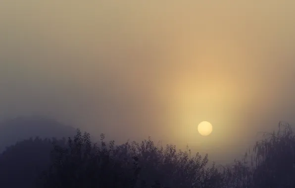 Sunset, foggy, silhouettes
