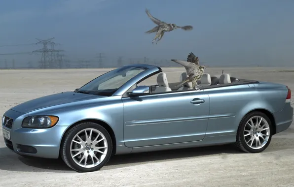 Птица, Volvo, кабриолет, C70