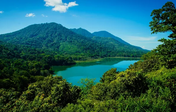 Картинка лес, горы, озеро, Бали, Индонезия, Bali, Indonesia