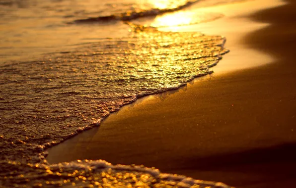 Картинка песок, море, пляж, вода, макро, закат, фон, обои