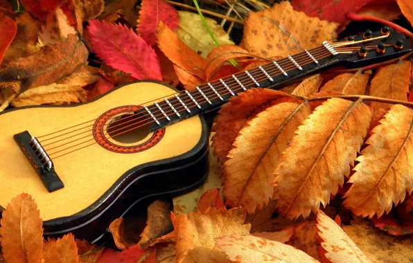 Картинка листья, музыка, гитара