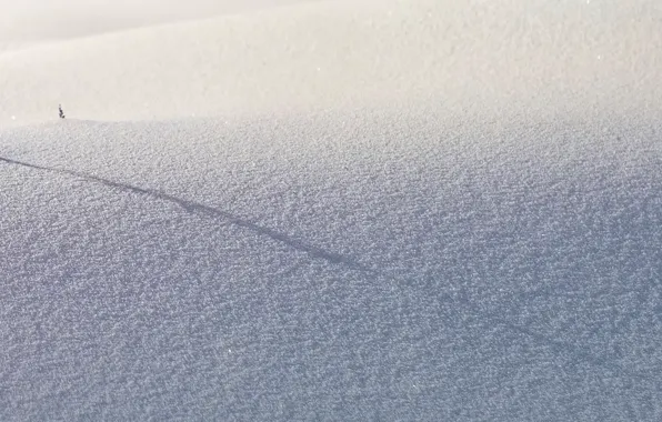 Картинка зима, снег, тень
