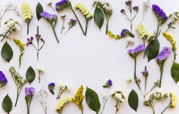 Цветы, фон, весна, бутоны, flowers, background, spring